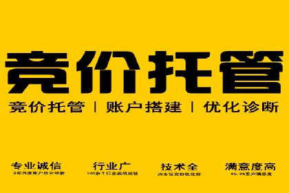 搜索引擎营销（SEM）中竞价员的角色与案例